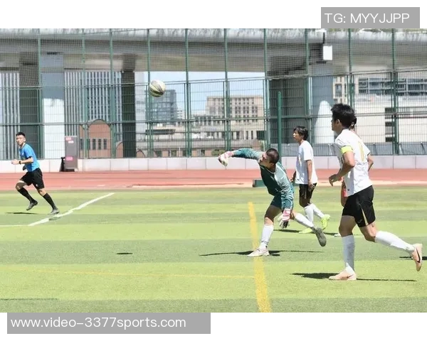 微型足球场的魅力与发展探讨如何推动全民健身与青少年足球运动的普及